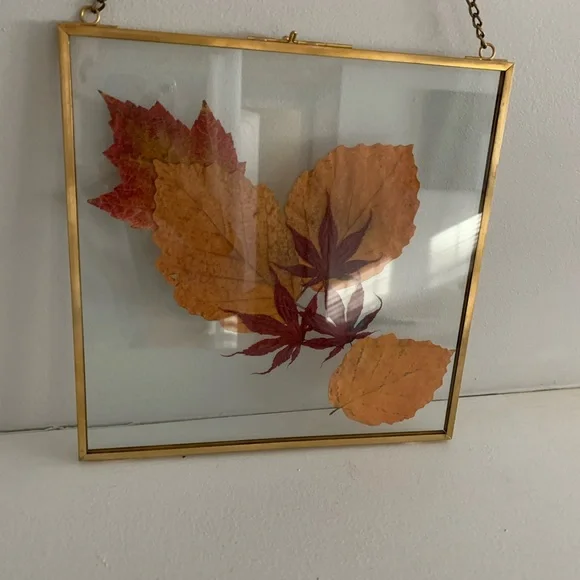 Pressed Fall Leaves Art - Picture 2 of 6